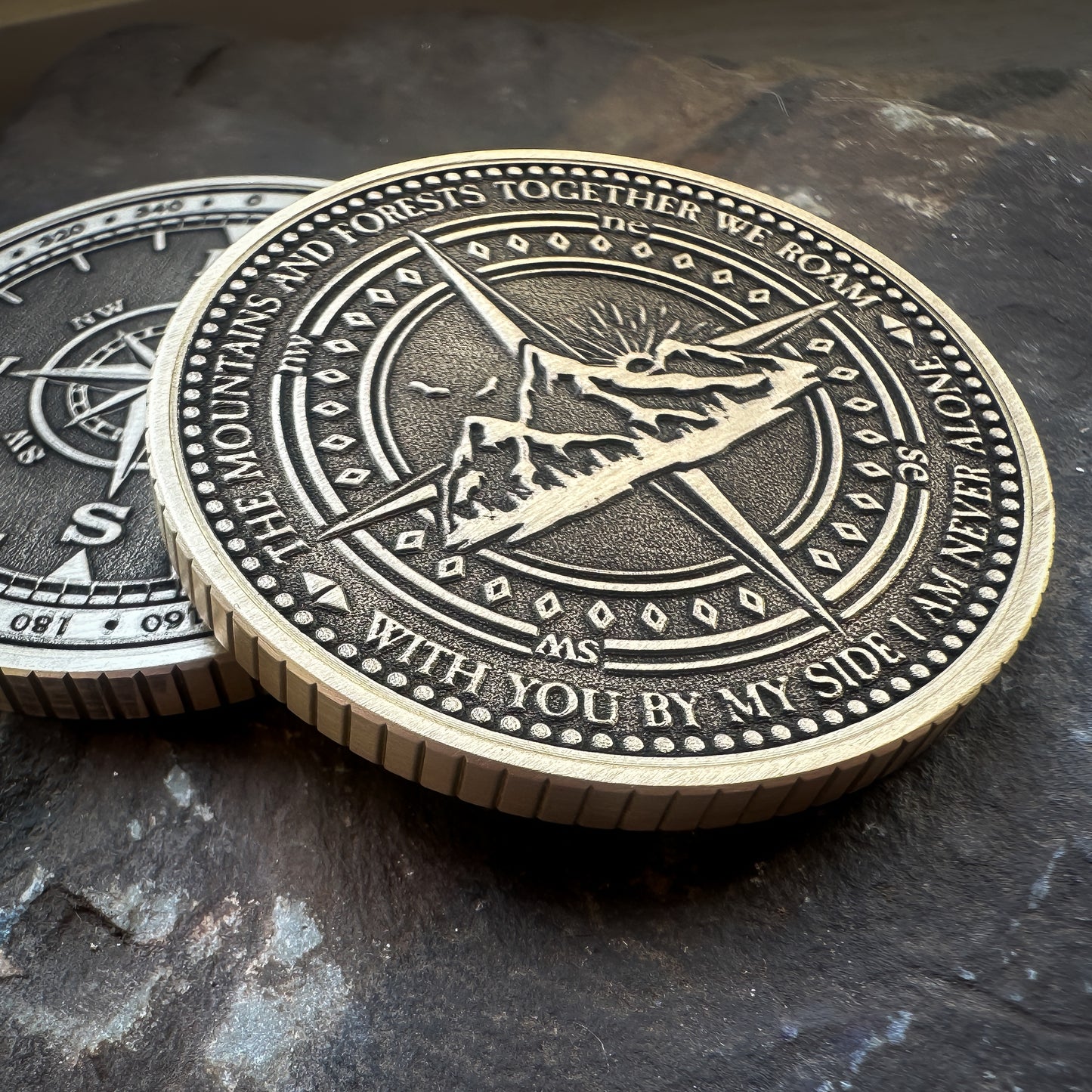 Mountain Compass Coin