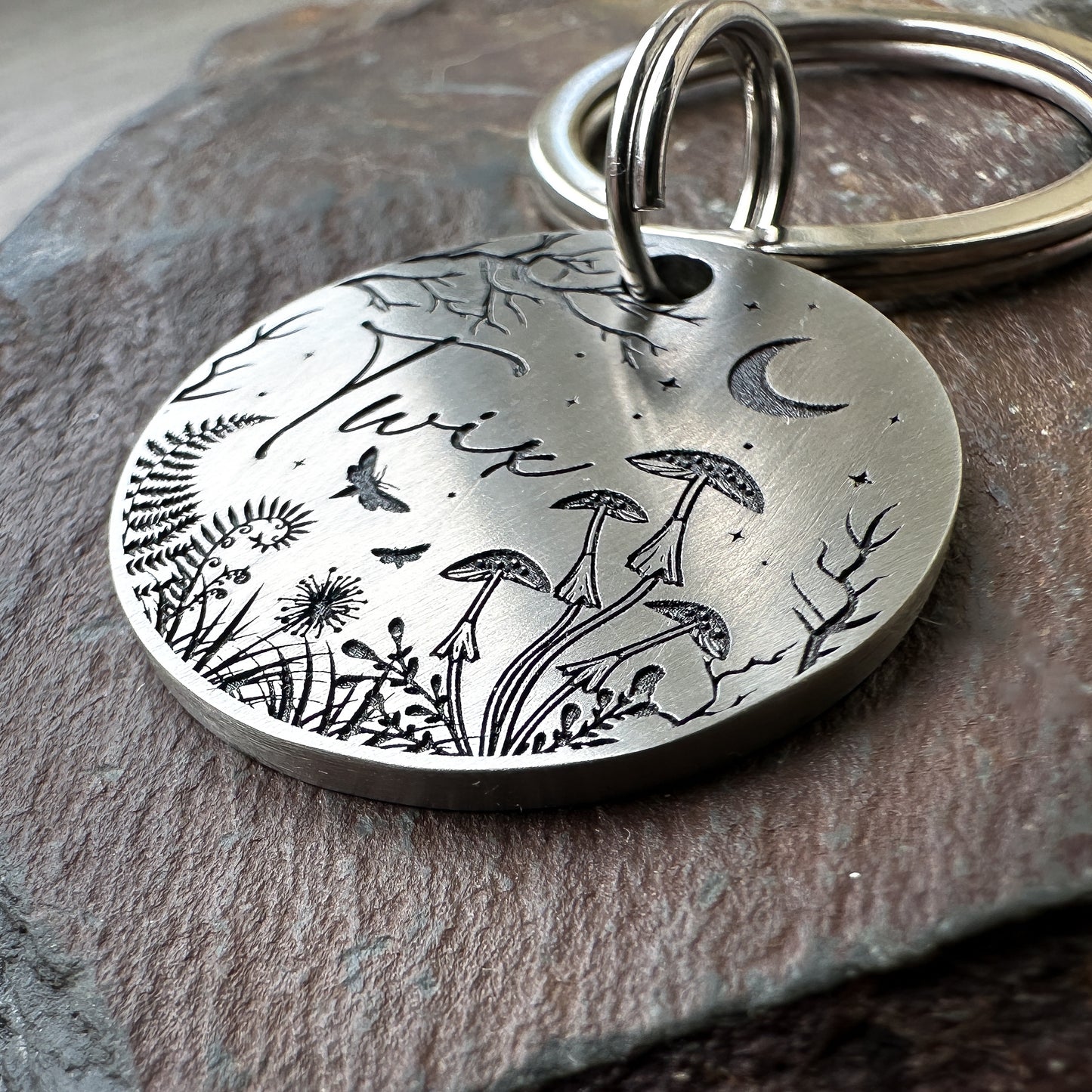 Moonlit Woodland