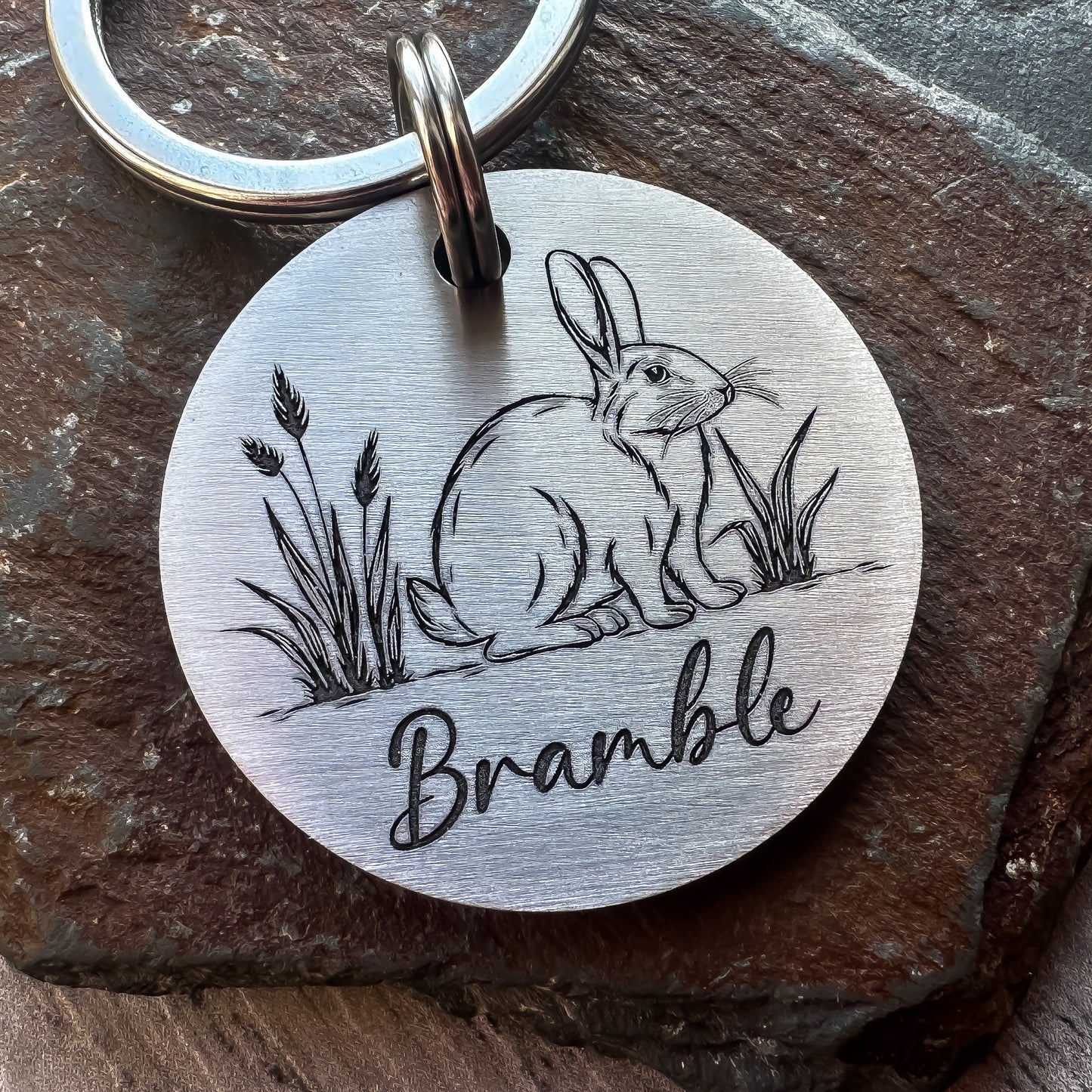Rabbit