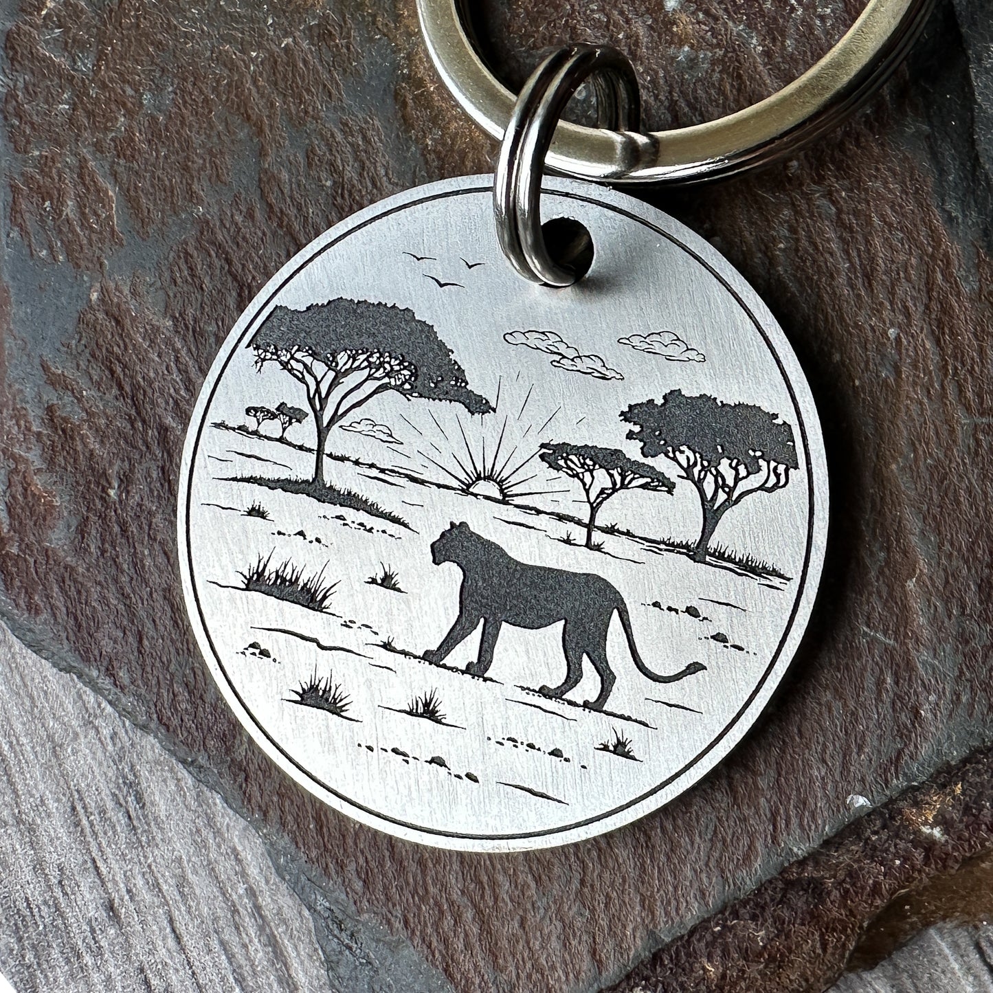 Lioness on the Saraha