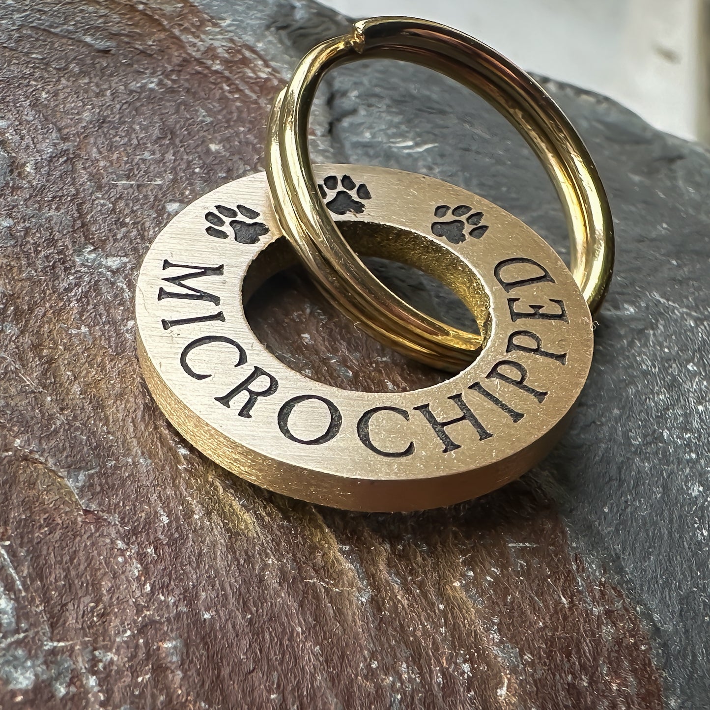 Microchipped Pawprints