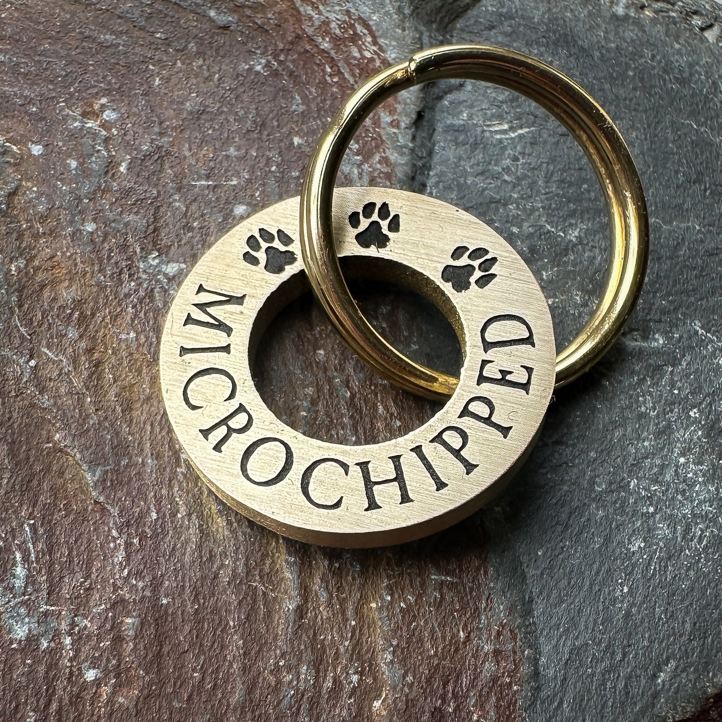 Microchipped Pawprints