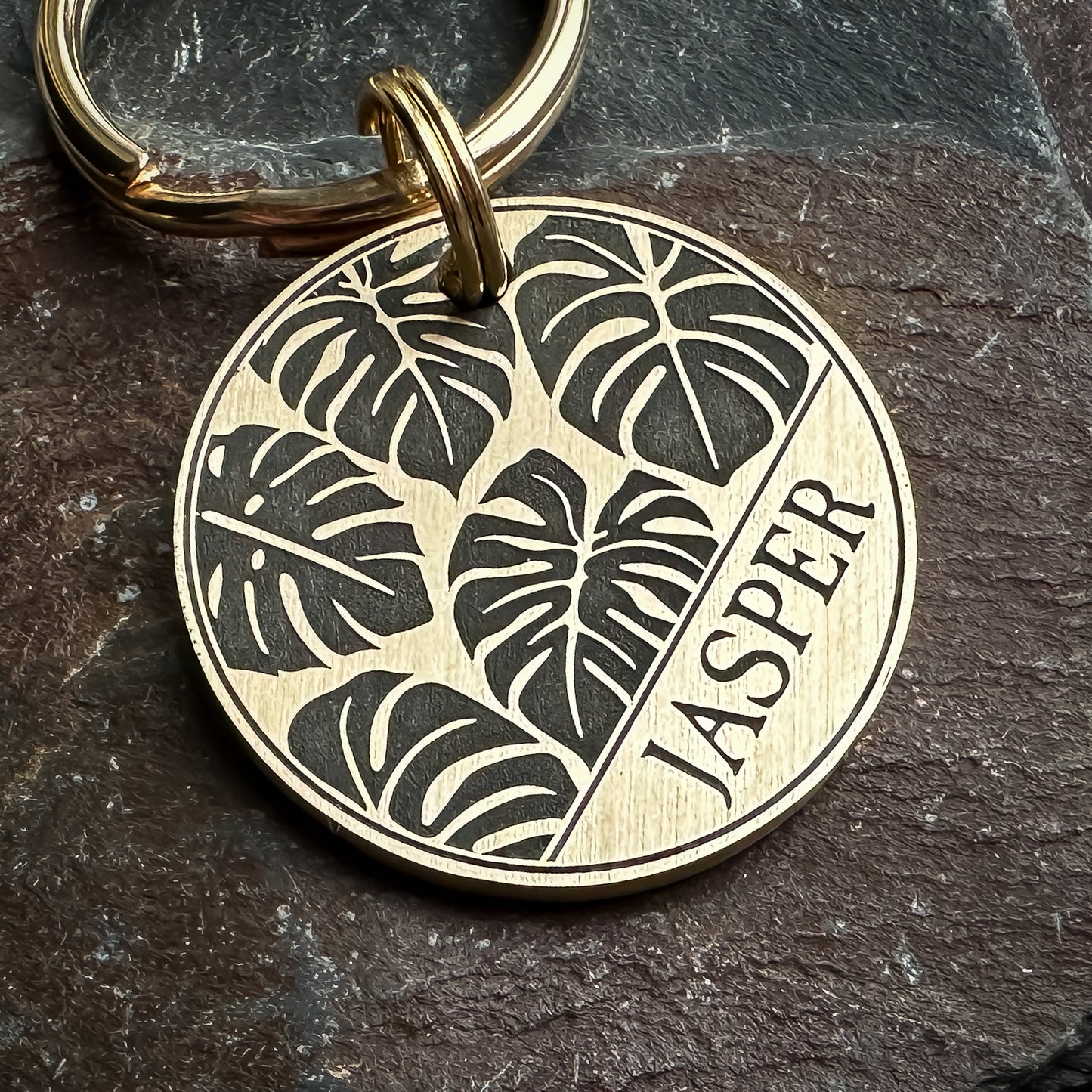 Monstera Cheese Leaf