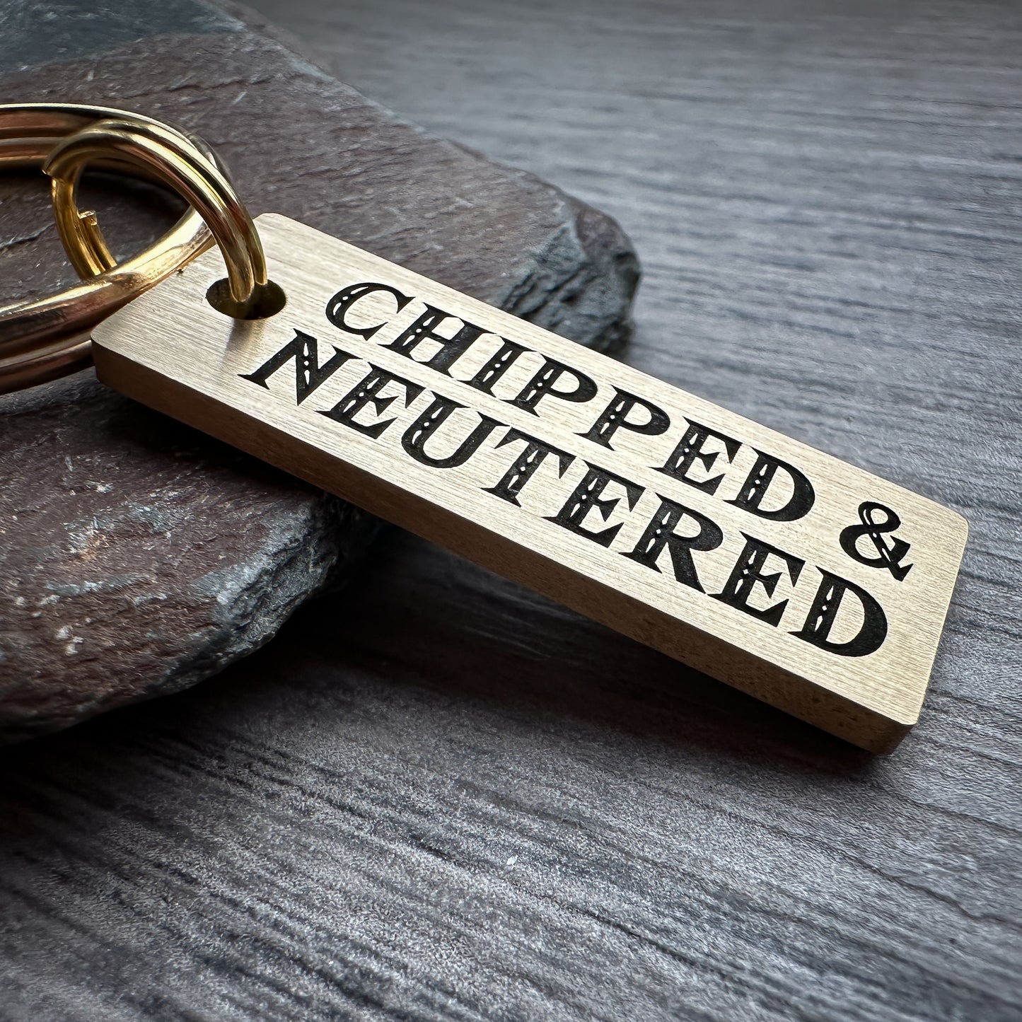 Chipped & Neutered