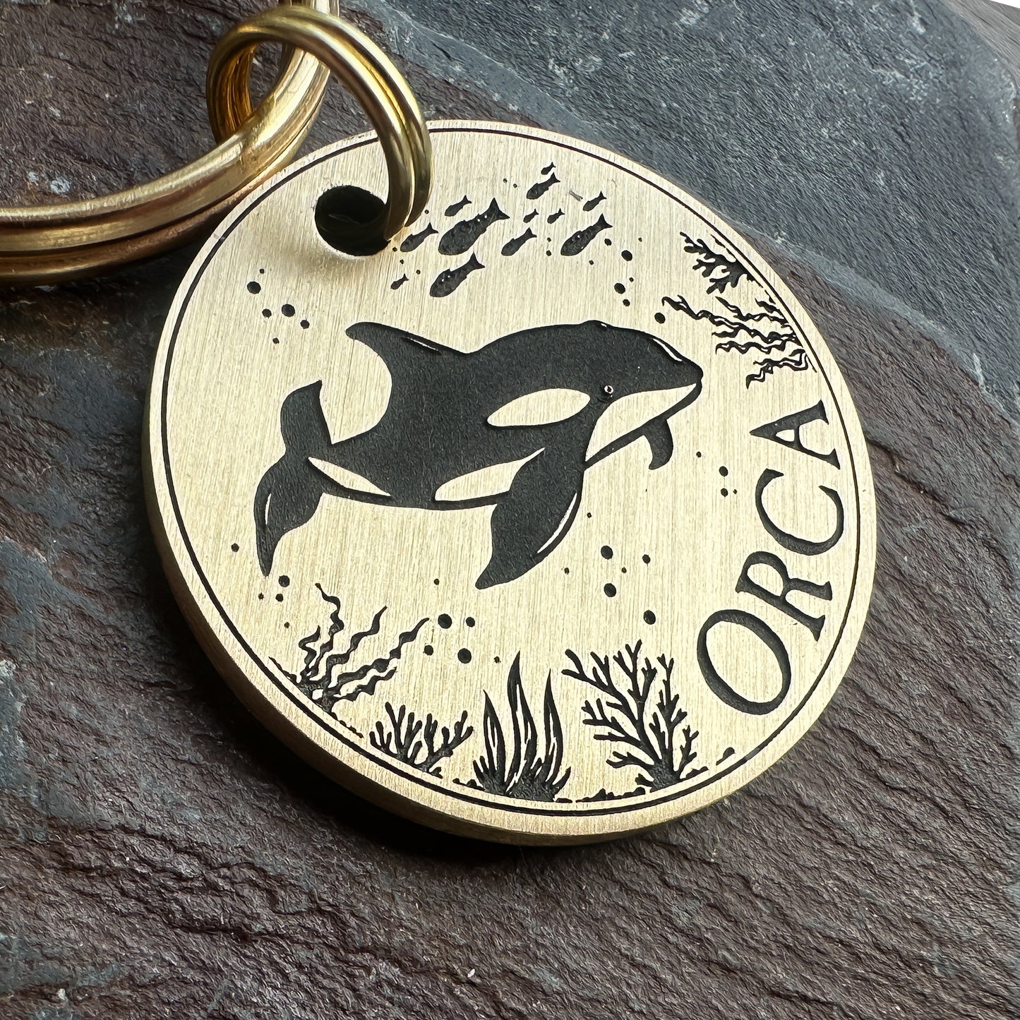 Orca Whale