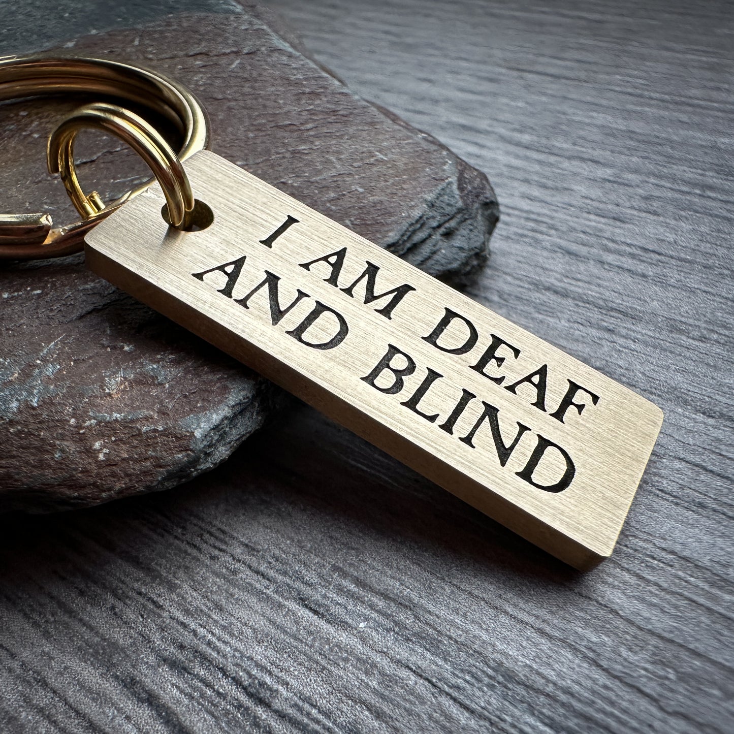 I am Deaf & Blind lg