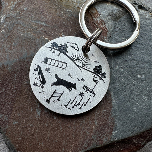 Agility Collie - Medium stainless steel disc