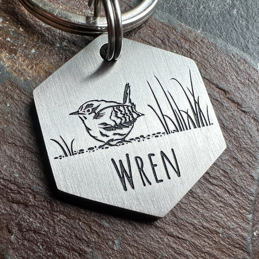 Little Wren