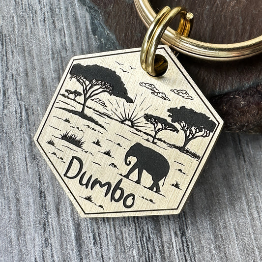 Elephant on the Savanna