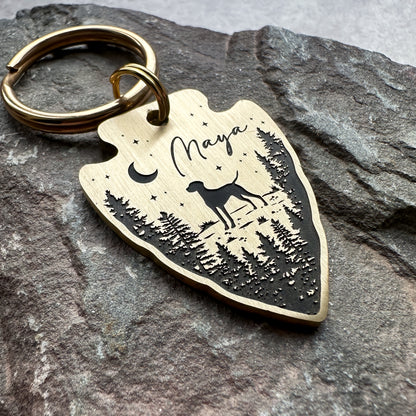 Moonlight Adventures