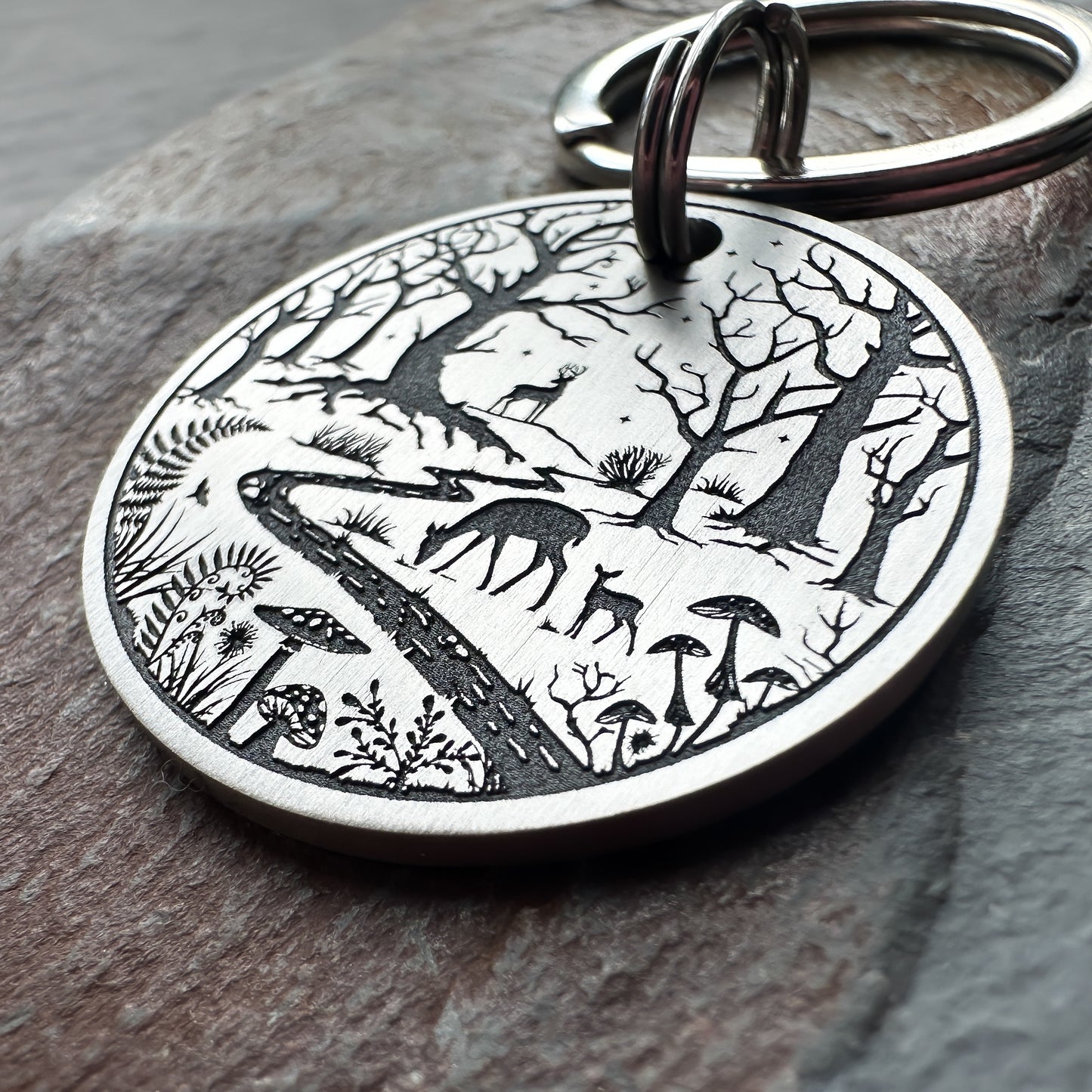 Enchanted Forest