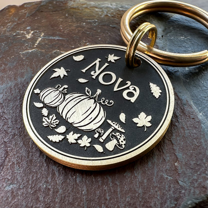 Pumpkins & Mushrooms