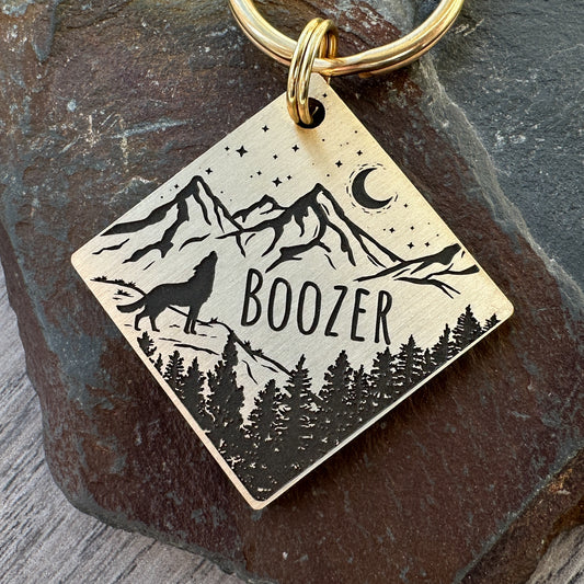 Wolf in the Mountains