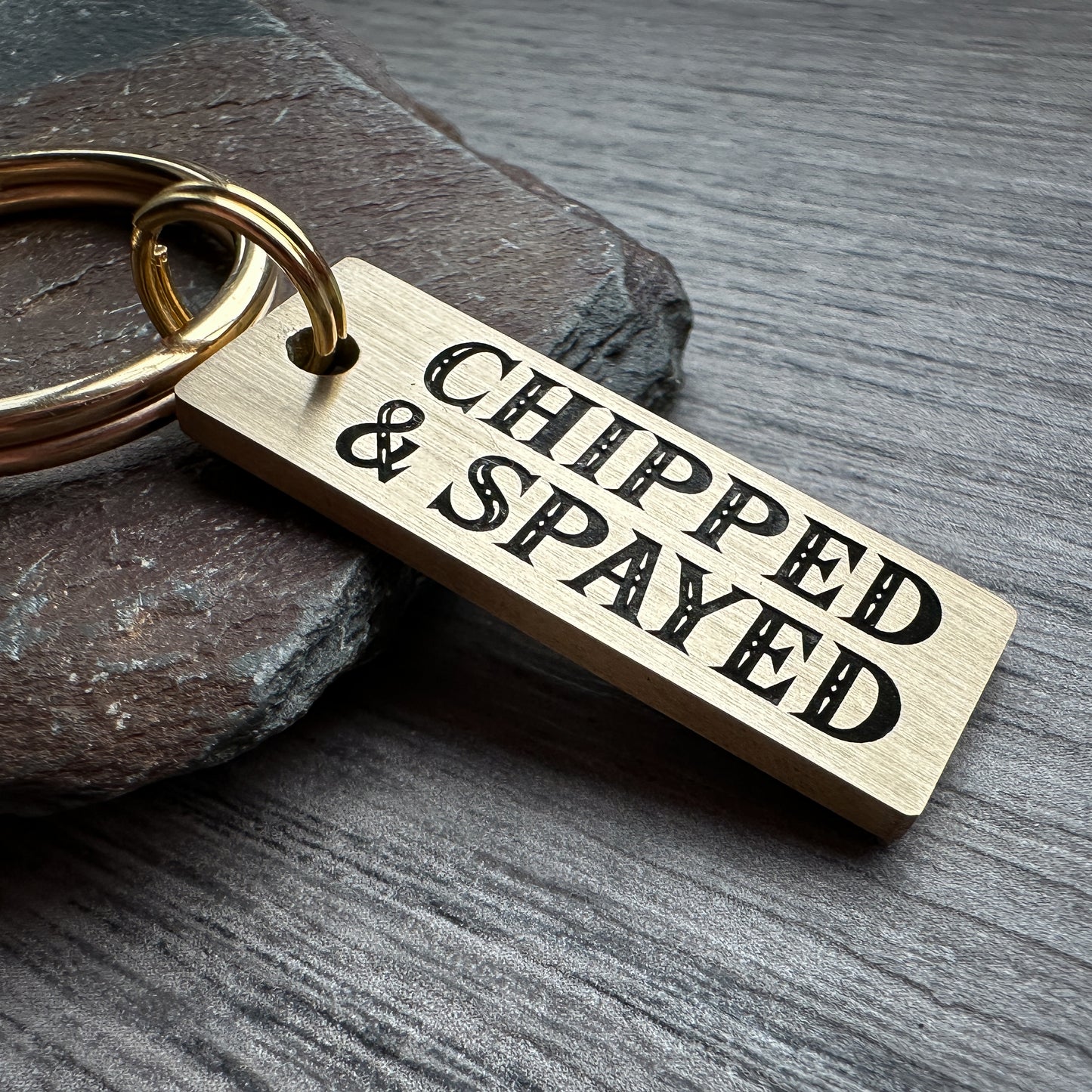 Chipped & Spayed
