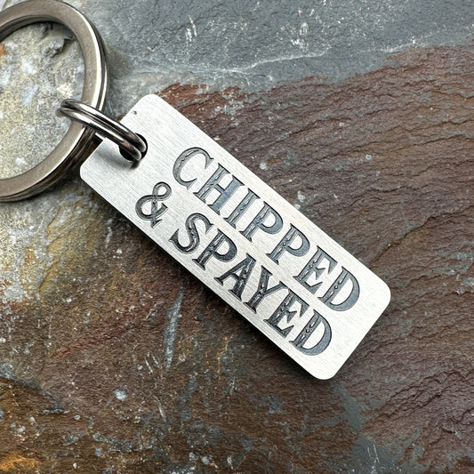 Chipped & Spayed - tab shape  - stainless steel