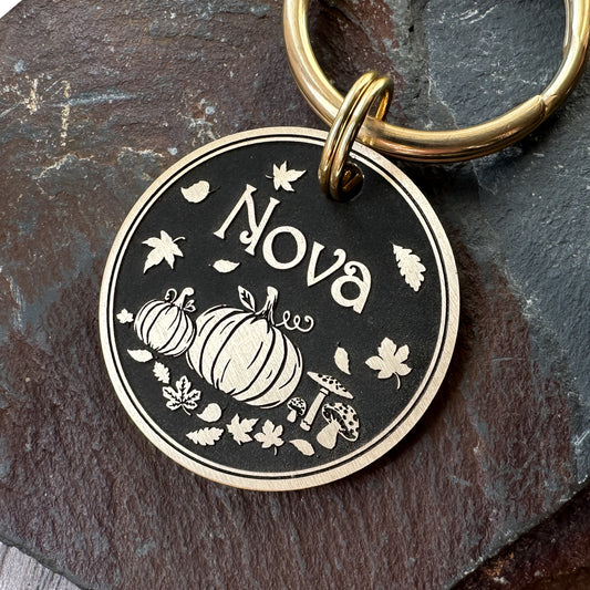 Pumpkins & Mushrooms