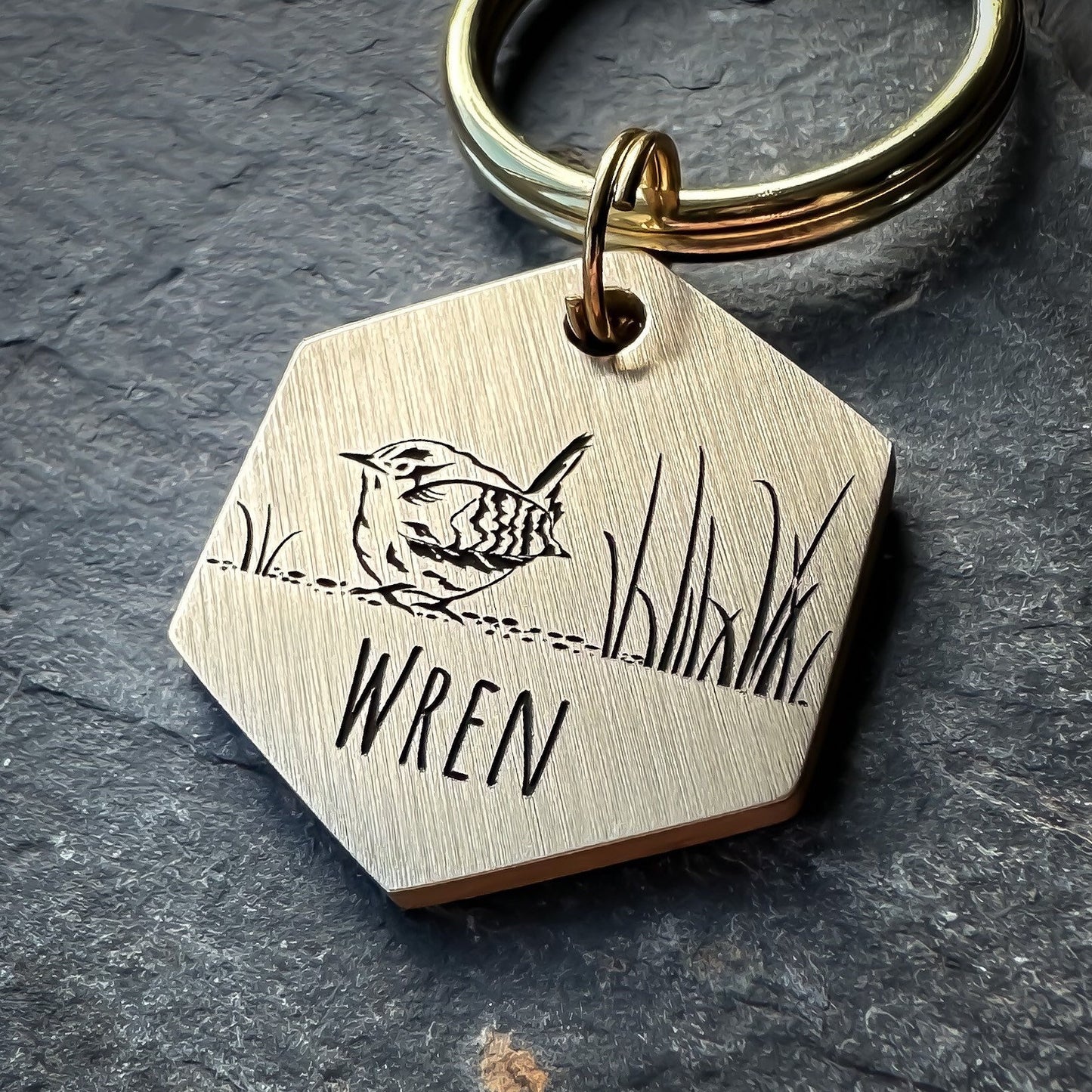 Little Wren