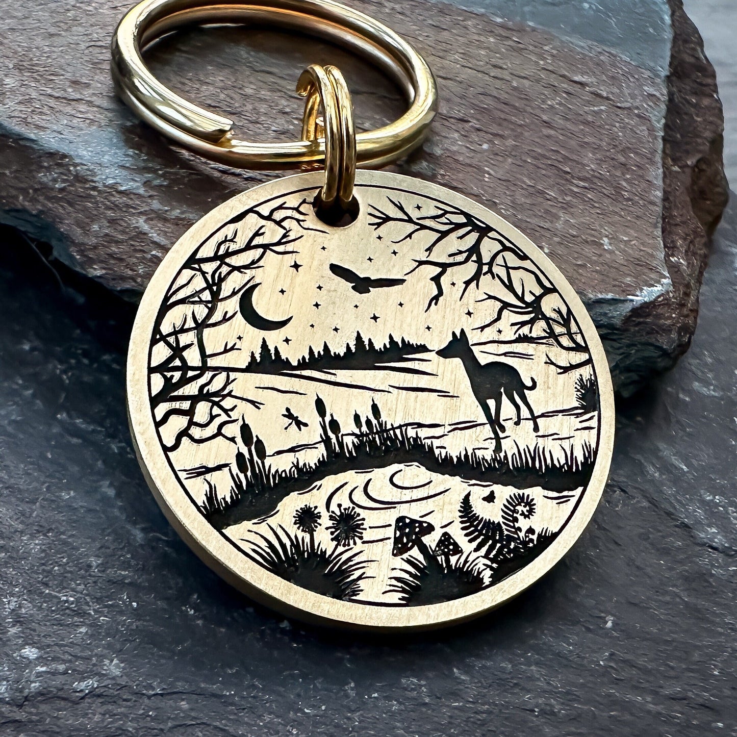 Woodland Stream